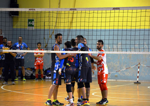 SERIE D